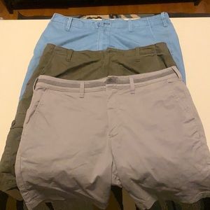 Express Shorts BUNDLE